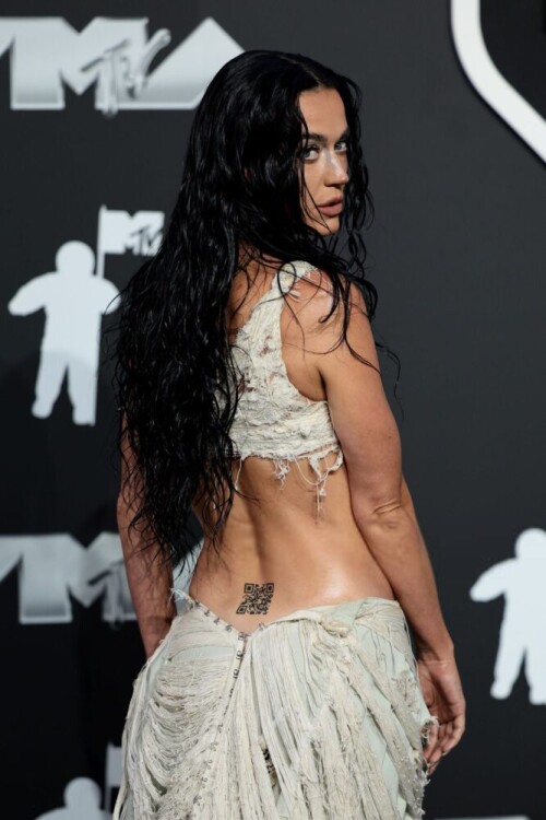 katy-perry-sexy-braless-look-mtv-vmas-014-667x1000.jpeg