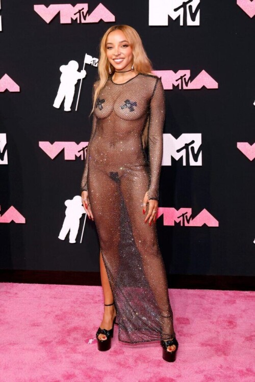 Tinashe sizzles on the pink carpet , her fishnet dress  revealing a naked body . Only pasties cover her intimate areas . A daring and sexy look!