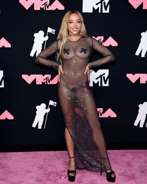 Tinashe sizzles on the pink carpet , her fishnet dress  revealing a naked body . Only pasties cover her intimate areas . A daring and sexy look!