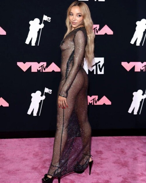 Tinashe sizzles on the pink carpet , her fishnet dress  revealing a naked body . Only pasties cover her intimate areas . A daring and sexy look!