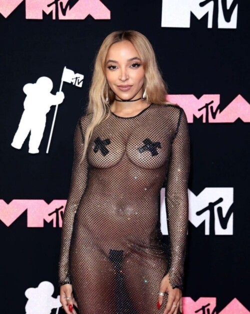 Tinashe sizzles on the pink carpet , her fishnet dress  revealing a naked body . Only pasties cover her intimate areas . A daring and sexy look!