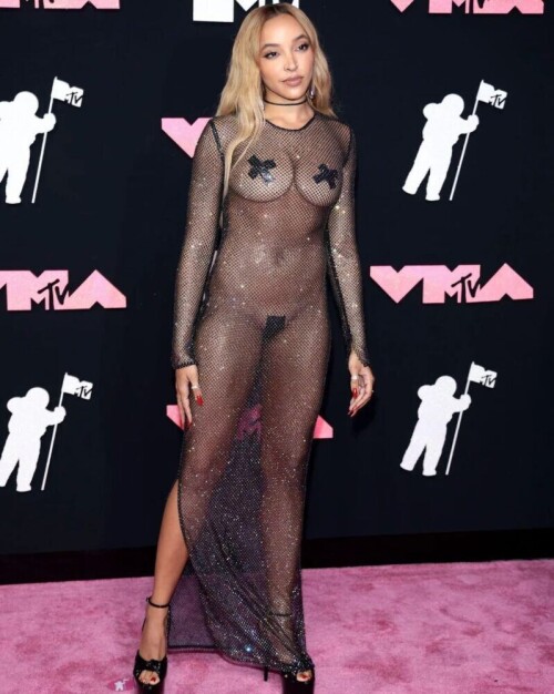 Tinashe sizzles on the pink carpet , her fishnet dress  revealing a naked body . Only pasties cover her intimate areas . A daring and sexy look!