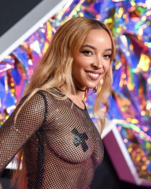 Tinashe sizzles on the pink carpet , her fishnet dress  revealing a naked body . Only pasties cover her intimate areas . A daring and sexy look!